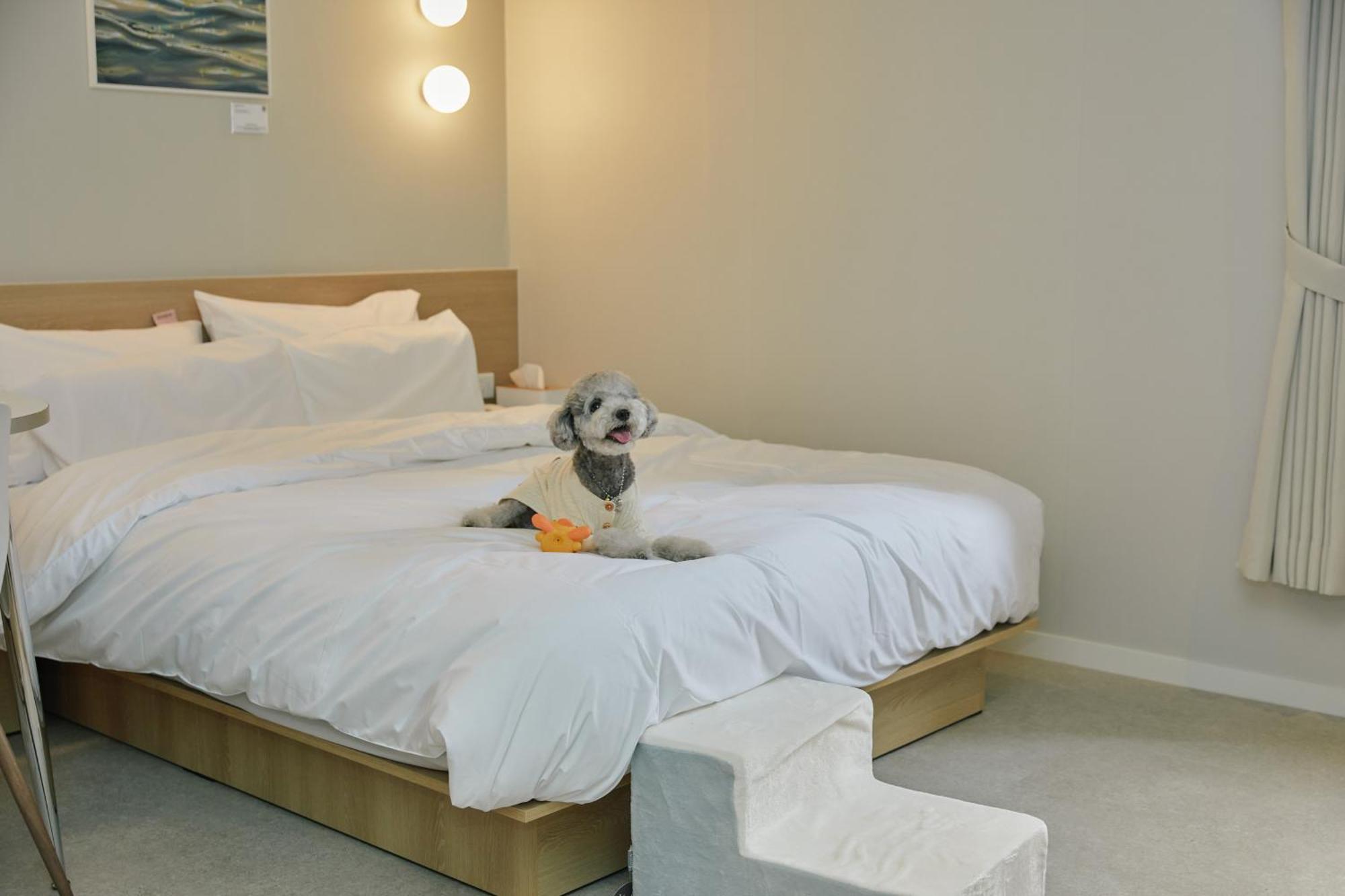 Aank Hotel Incheon Songdo Eksteriør billede